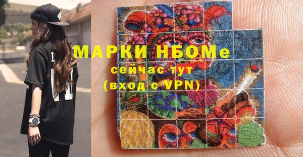 сатива Новозыбков