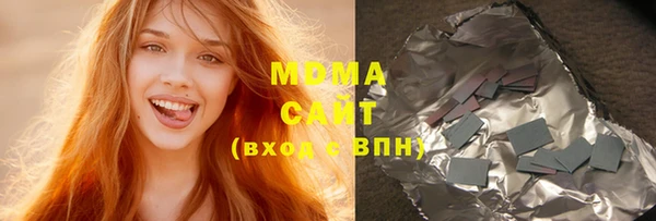 сатива Новозыбков