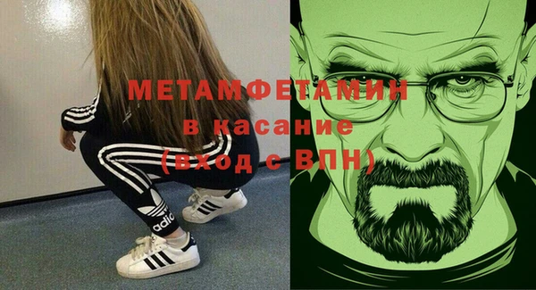 сатива Новозыбков