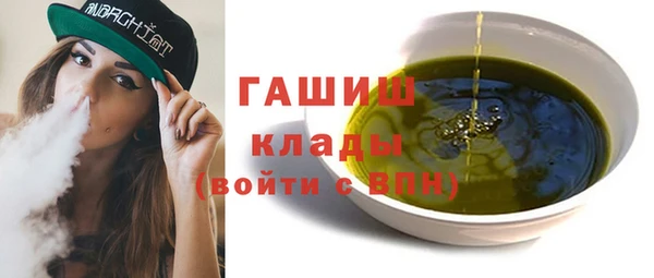 гашик Бикин