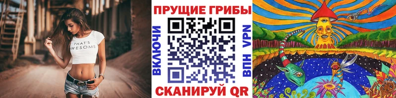 даркнет сайт  Новоаннинский  Псилоцибиновые грибы Cubensis 